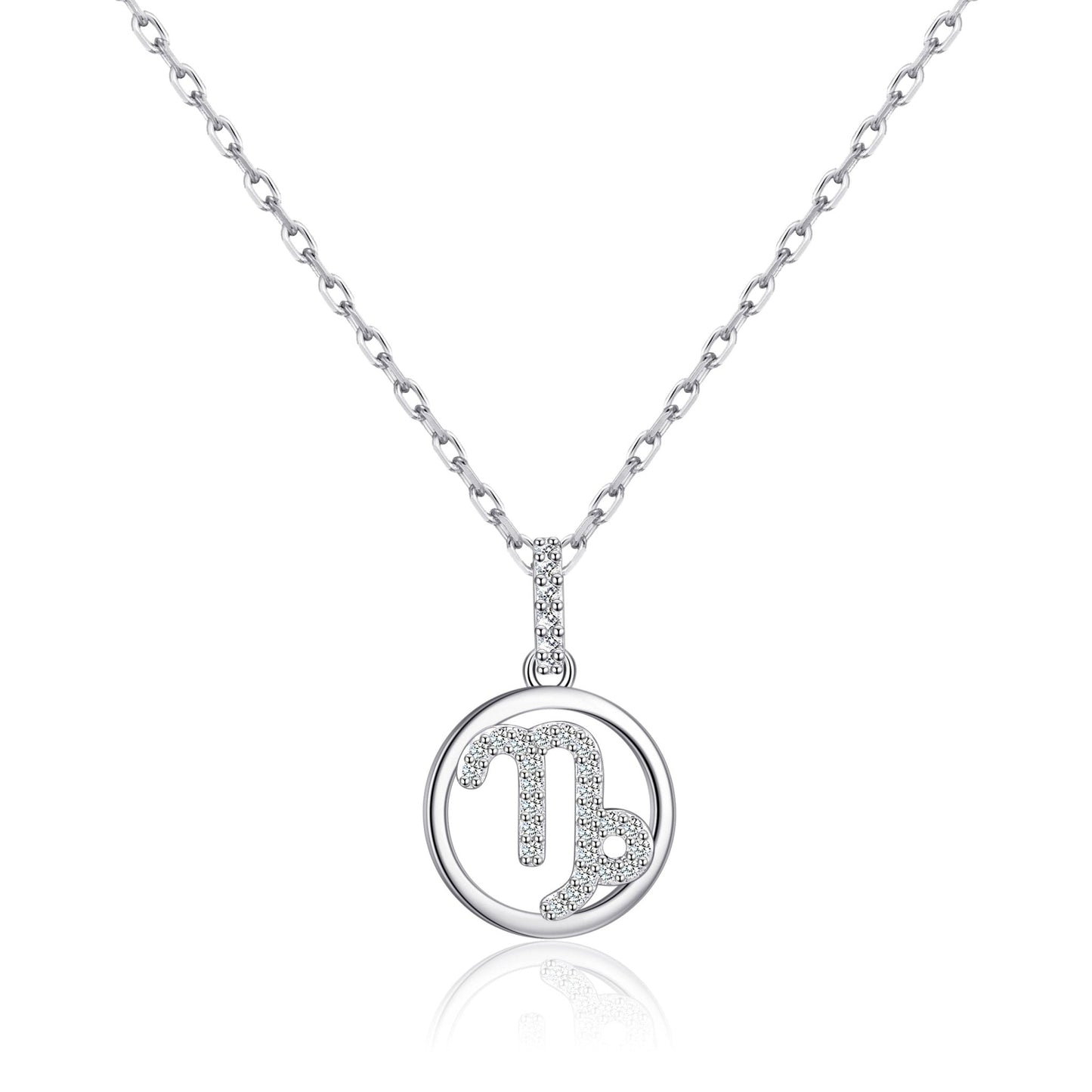 Capricorn Star Sign Zodiac Necklace and Quote Card with Zircondia® Crystals